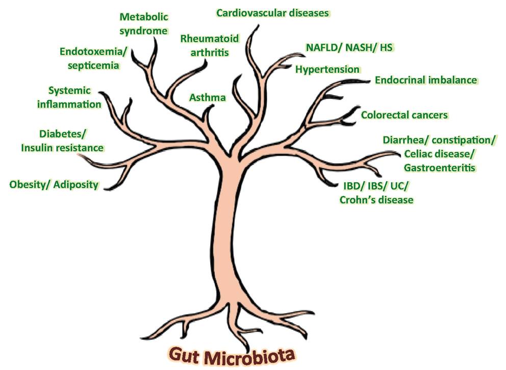 The Gut Institute