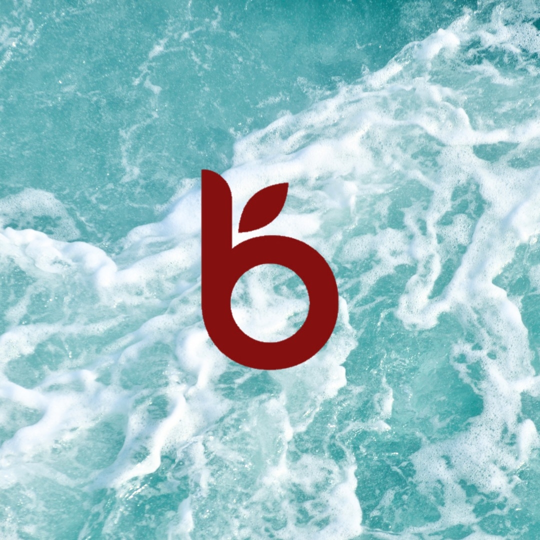 Balaveda
