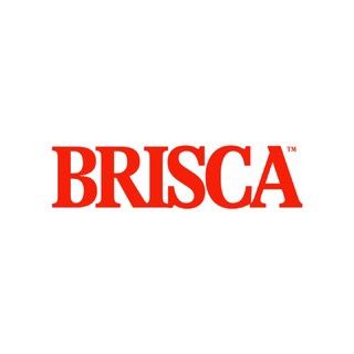 Brisca