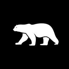 Polar Dive USA