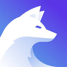 IceVPN