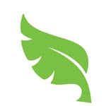 Forest Leaf