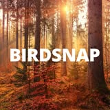 BirdSnap