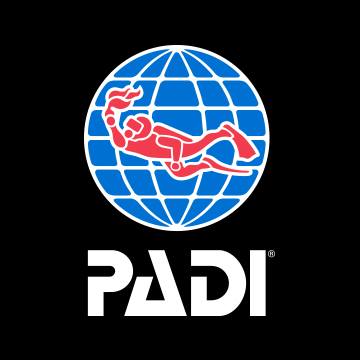 Padi