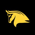 The Stampede Network
