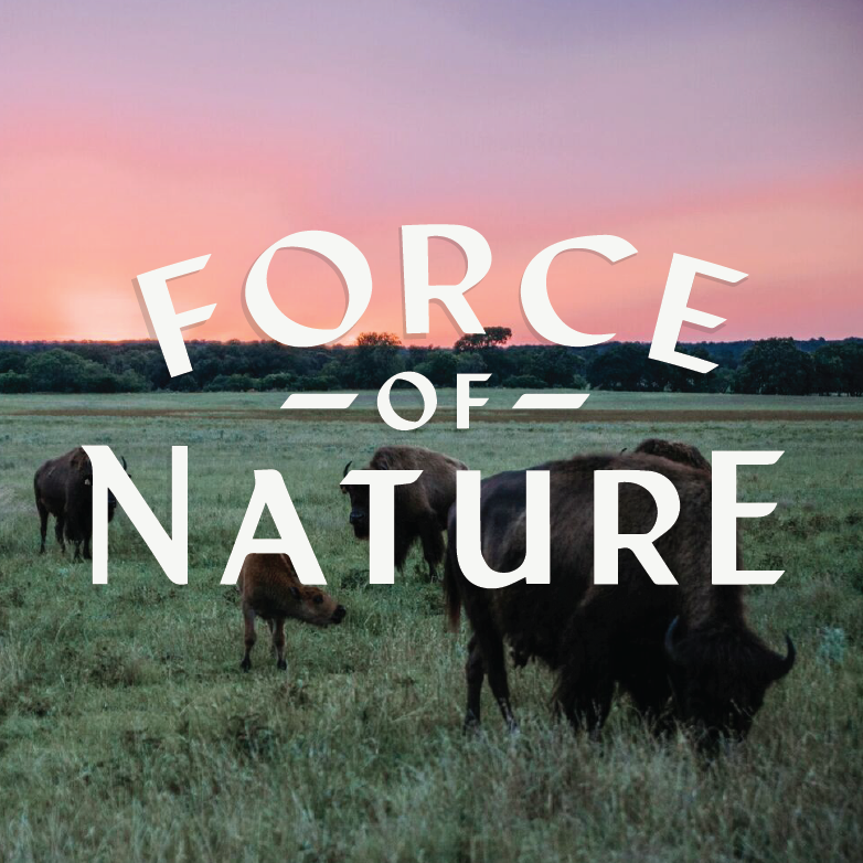 Force of Nature
