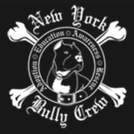 Bully Crew