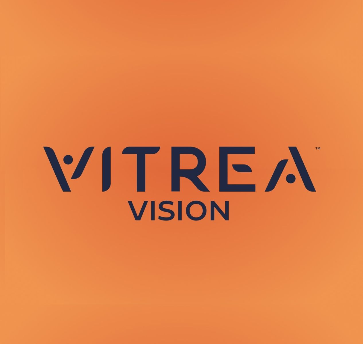 Vitrea Vision