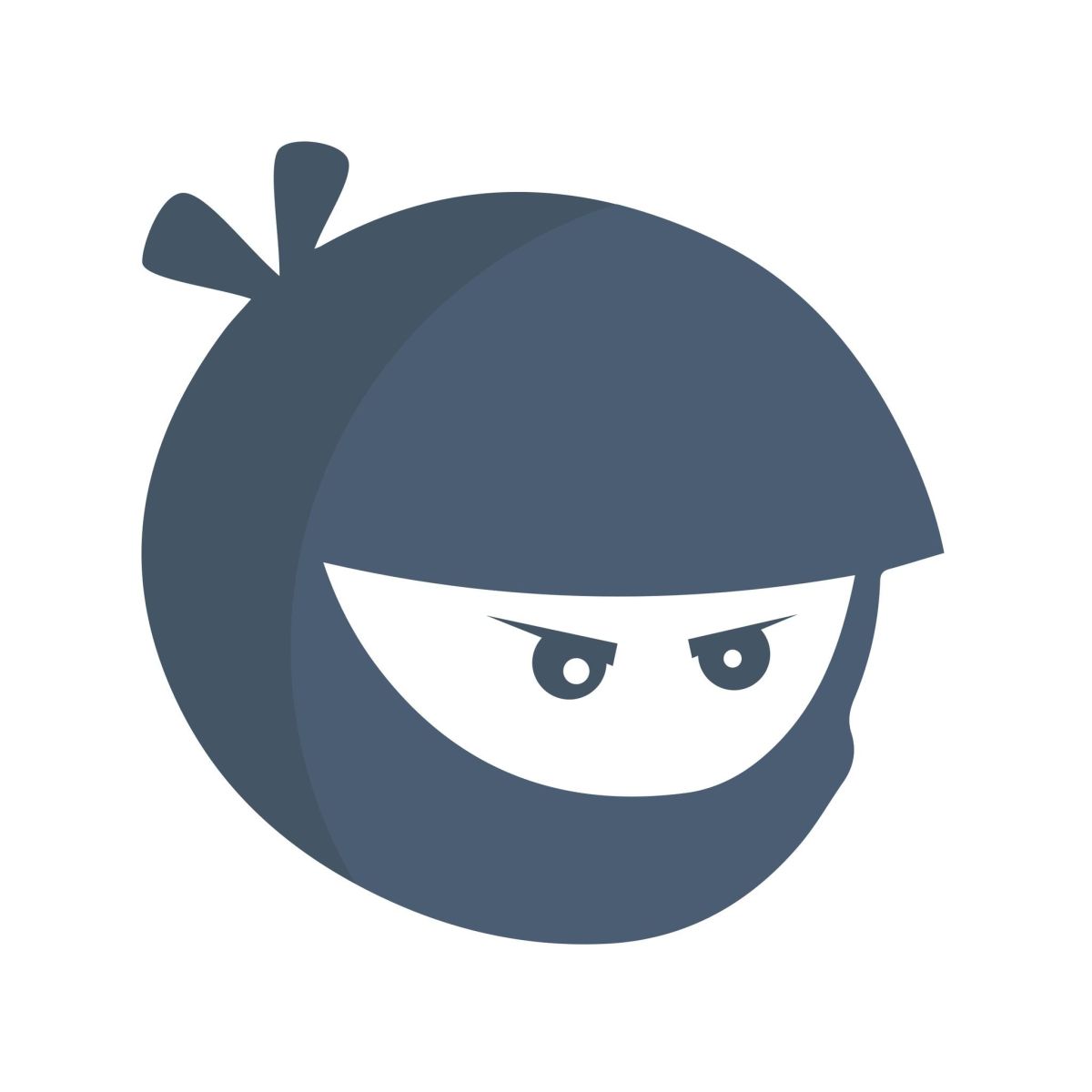 WP Manage Ninja