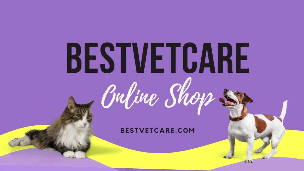 Bestvetcare - Your Trusted Destination for Premium Pet Supplies and Care Solutions