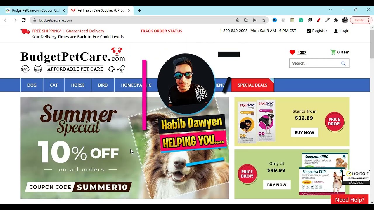 Discover the Best Value for Your Pets with Budgetpetcare — Quality Pet Supplies Without Breaking the Bank