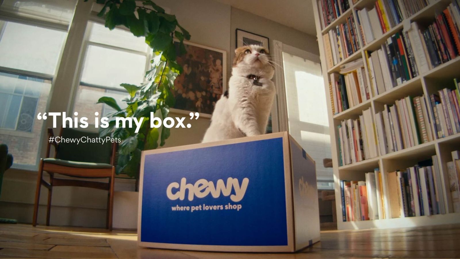 Chewy Review – Online Pet Shopping Savings, Selection, and Service