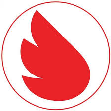 Livepigeon