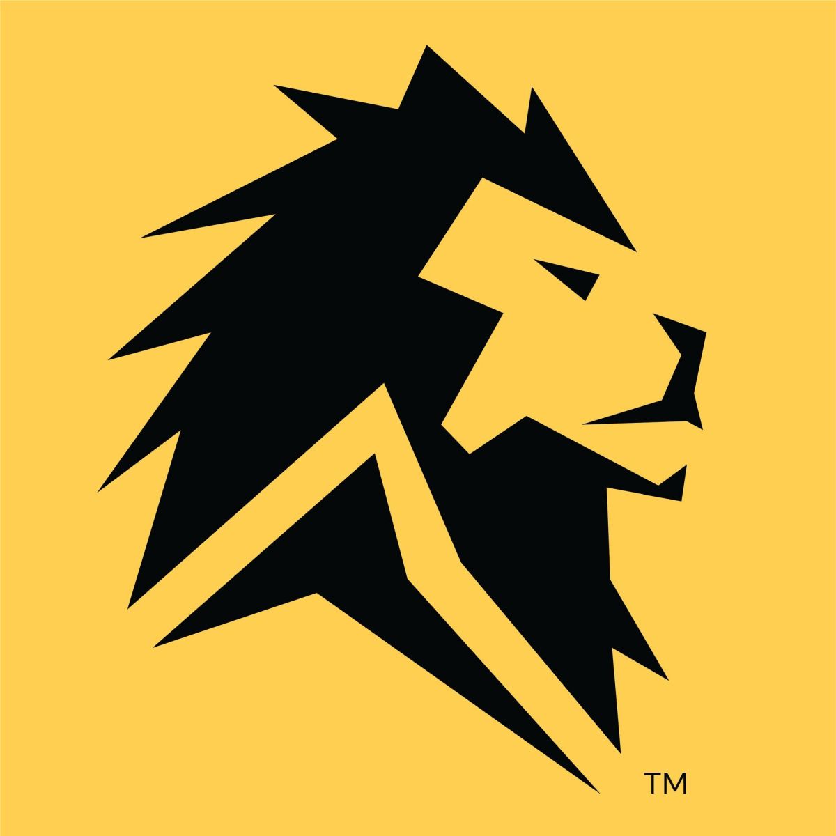 Lion Energy