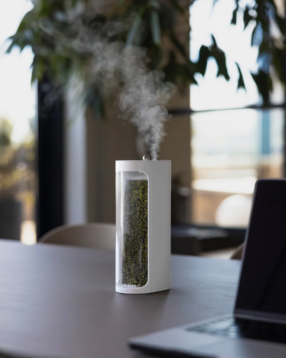 Mosslab Review 2024: Where Clean Skincare Meets Smart Simplicity